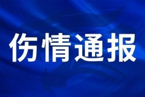 雄鹿vs黄蜂直播_超清无插件信号_前方伤停情报