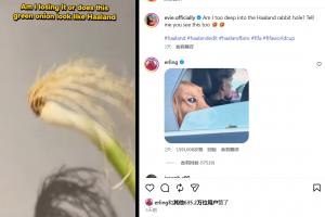 蜘蛛直播官网体育赛事直播_低调看球吧_比分结果预测