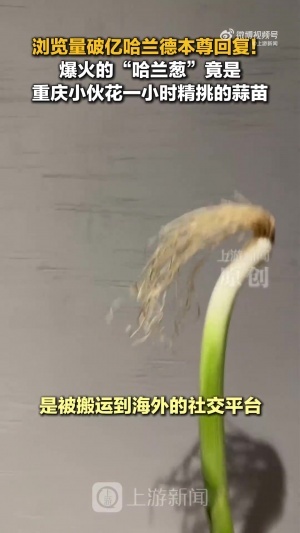 中国女排vs乌克兰女排免费直播_全场进球集锦_现场高清回放